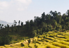 Homestay Trek Nepal