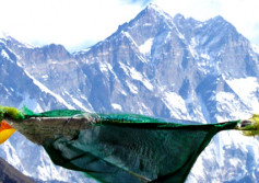 Highlights of Everest Panorama Trek