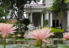 Garden of Dreams