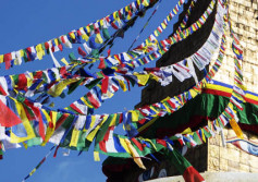 Nepal Travel Guide