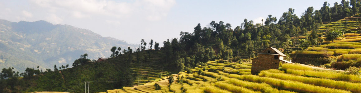 Homestay Trek Nepal