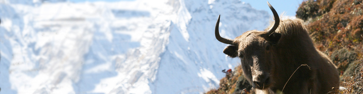 Jiri Everest Base Camp Trek