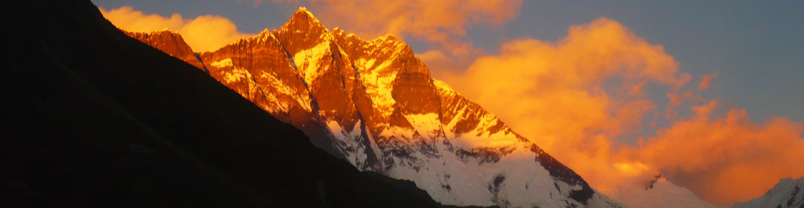 Experts of the Himalayas