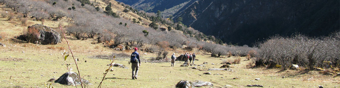 Laya Gasa Trek