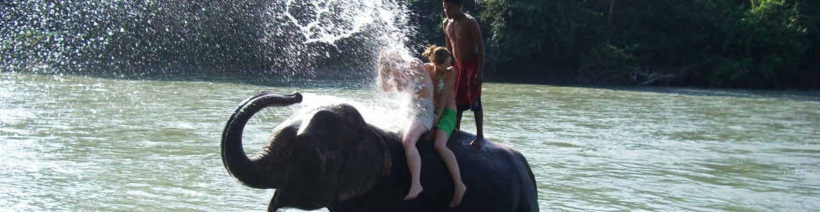 Chitwan Jungle Safari