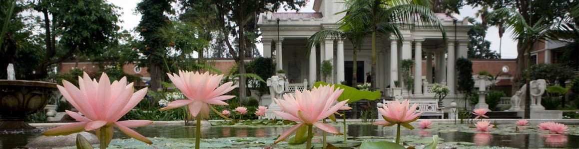 Garden of Dreams